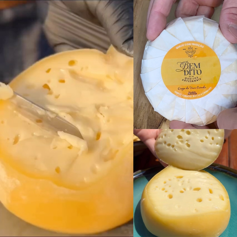 BemDito Queijo